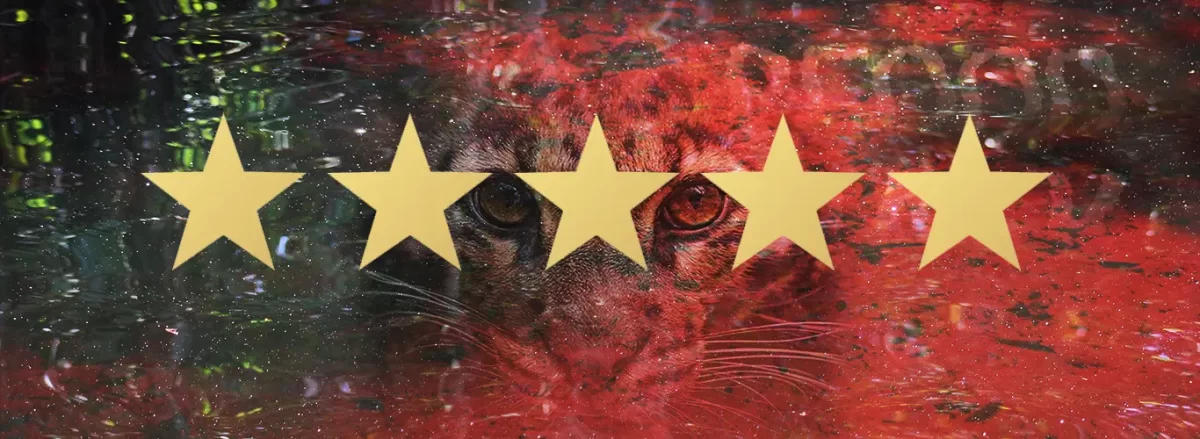 Five star reviews for Blood River