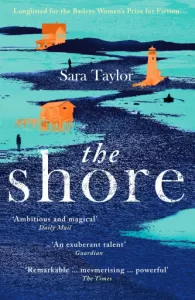 The cover of The Shore by Sara Taylor is an abstract image of a riverine landscape.