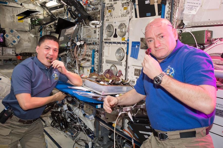 NASA astronauts Scott Kelly and Kjell Lindgren on the International Space Station are getting their taste buds ready for the first taste of food that's grown, harvested and eaten in space, a critical step on the path to Mars.