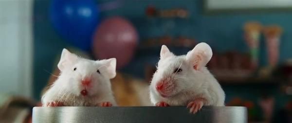 Benjy and Frankie, Trillian's super-intelligent mouse-aliens in A Hitchhiker's Guide To The Galaxy.